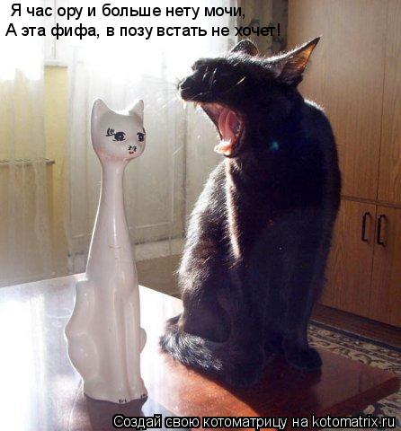 Котоматрица: А эта фифа, в позу встать не хочет! Я час ору и больше нету мочи,