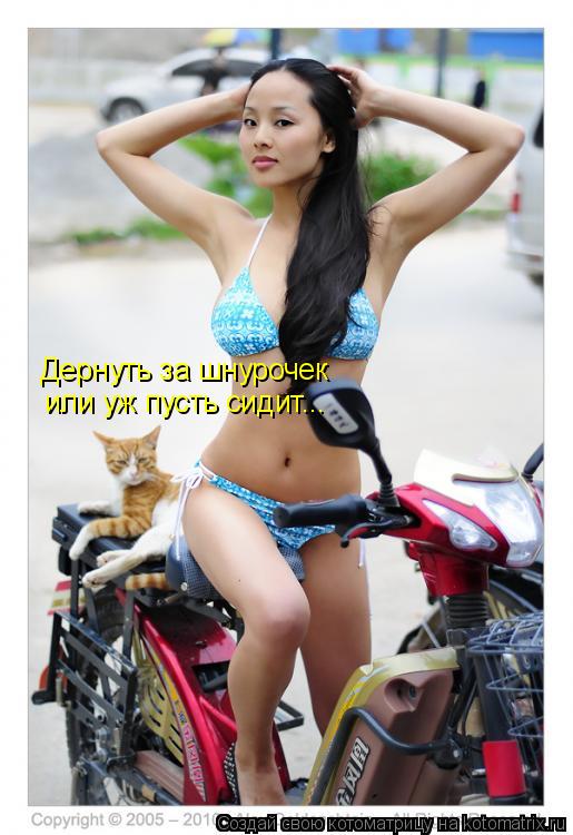 Котоматрица: Дернуть за шнурочек или уж пусть сидит...