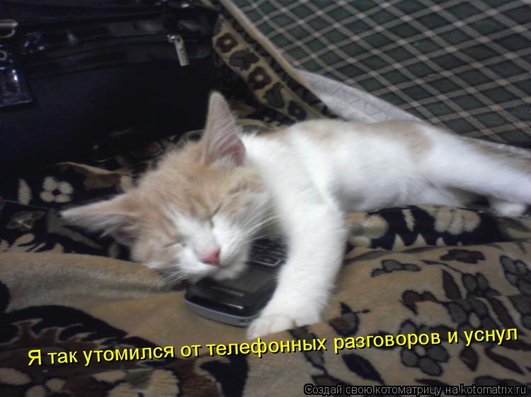 Котоматрица: Я так утомился от телефонных разговоров и уснул