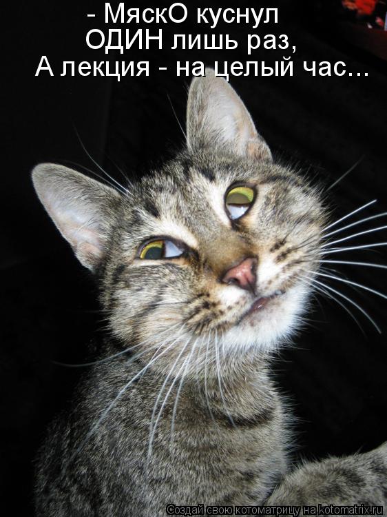 - МяскО куснул ОДИН лишь раз, А лекция - на целый час...... Котоматрица: - МяскО куснул ОДИН лишь раз, А лекция - на целый час...