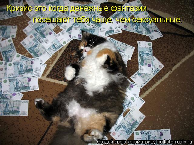 Котоматрица: Кризис это когда денежные фантазии  посещают тебя чаще, чем сексуальные.