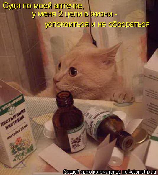 Котоматрица: Судя по моей аптечке,  у меня 2 цели в жизни - успокоиться и не обосраться