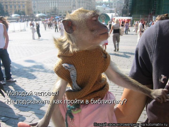 Котоматрица: Молодой человек! Не подскажете, как пройти в библиотеку?