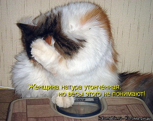 Котоматрица: Женщина натура утончённая,   но весы этого не понимают!