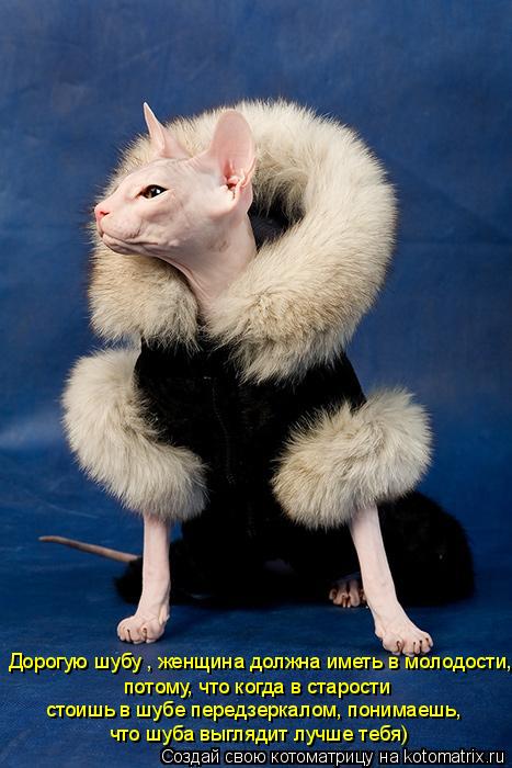 Котоматрица: Дорогую шубу , женщина должна иметь в молодости,  потому, что когда в старости  стоишь в шубе передзеркалом, понимаешь,  что шуба выглядит луч