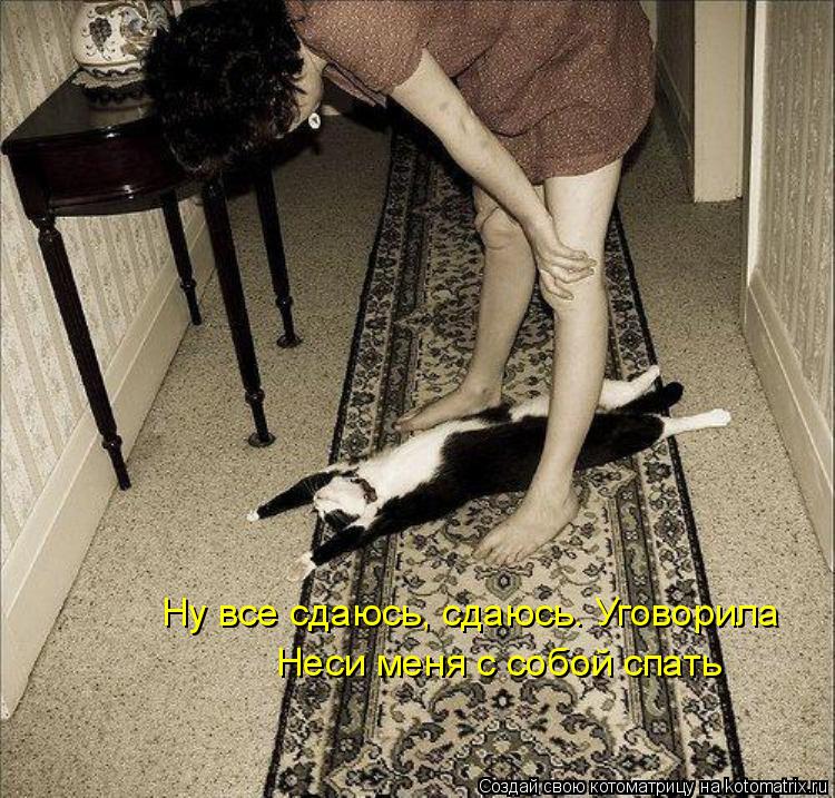 Котоматрица: Ну все сдаюсь, сдаюсь. Уговорила Неси меня с собой спать