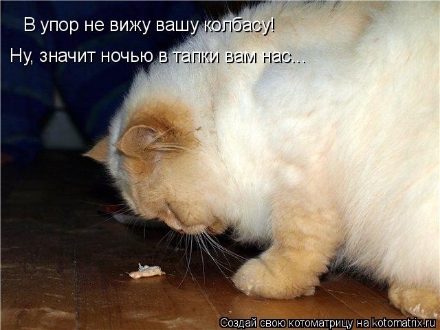 Котоматрица: В упор не вижу вашу колбасу! Ну, значит ночью в тапки вам нас...