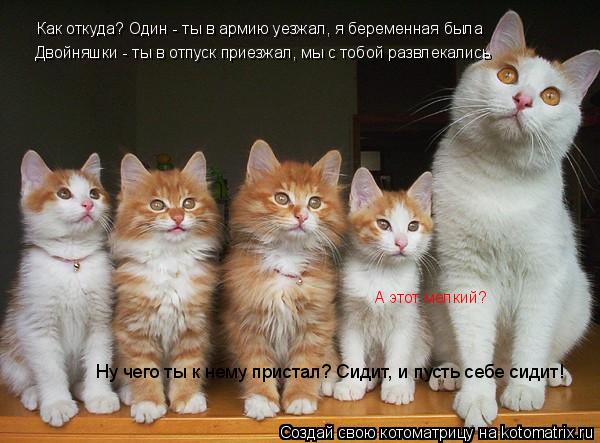 Котоматрица: Как откуда? Один - ты в армию уезжал, я беременная была Двойняшки - ты в отпуск приезжал, мы с тобой развлекались А этот мелкий? Ну чего ты к не
