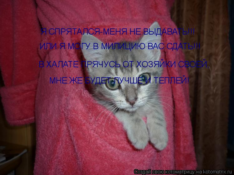 Котоматрица: Я СПРЯТАЛСЯ-МЕНЯ НЕ ВЫДАВАТЬ!!! ИЛИ Я МОГУ В МИЛИЦИЮ ВАС СДАТЬ!!! В ХАЛАТЕ ПРЯЧУСЬ ОТ ХОЗЯЙКИ СВОЕЙ, МНЕ ЖЕ БУДЕТ ЛУЧШЕ И ТЕПЛЕЙ!