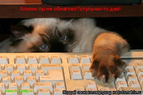 Котоматрица: Хозяин,ты не обнаглел?стульчик-то дай!