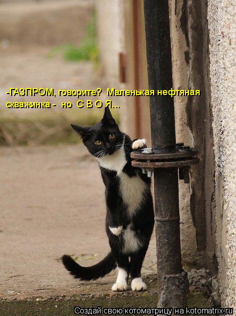 Котоматрица: -ГАЗПРОМ, говорите?  Маленькая нефтяная  скважинка -  но  С В О Я...