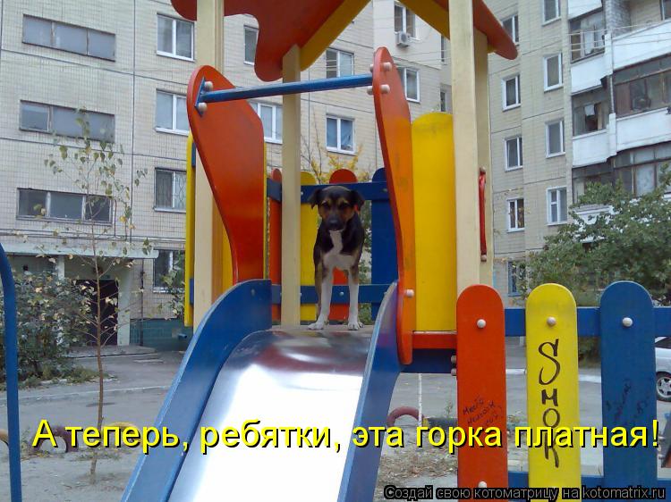 Котоматрица: А теперь, ребятки, эта горка платная!