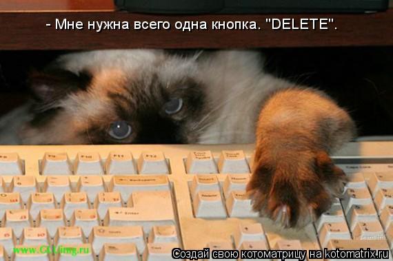 Котоматрица: - Мне нужна всего одна кнопка. "DELETE".