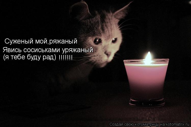 Котоматрица: Суженый мой,ряжаный Суженый мой,ряжаный  Явись сосиськами уряжаный (я тебе буду рад) !!!!!!!