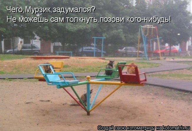 Котоматрица: Чего,Мурзик,задумался? Не можешь сам толкнуть,позови кого-нибудь!