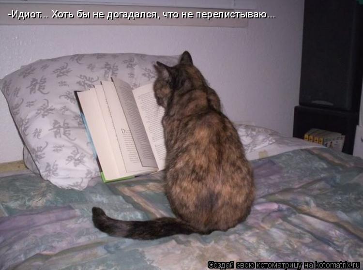 Котоматрица: -Идиот... Хоть бы не догадался, что не перелистываю...