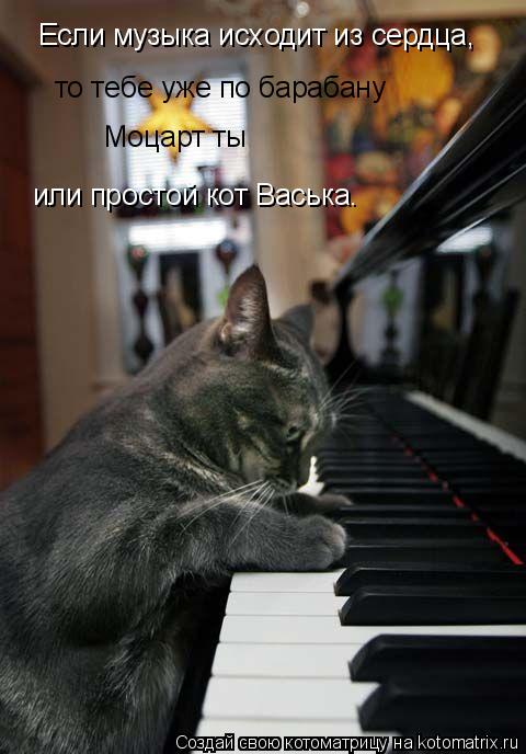 Котоматрица: Если музыка исходит из сердца,  то тебе уже по барабану Моцарт ты  или простой кот Васька.