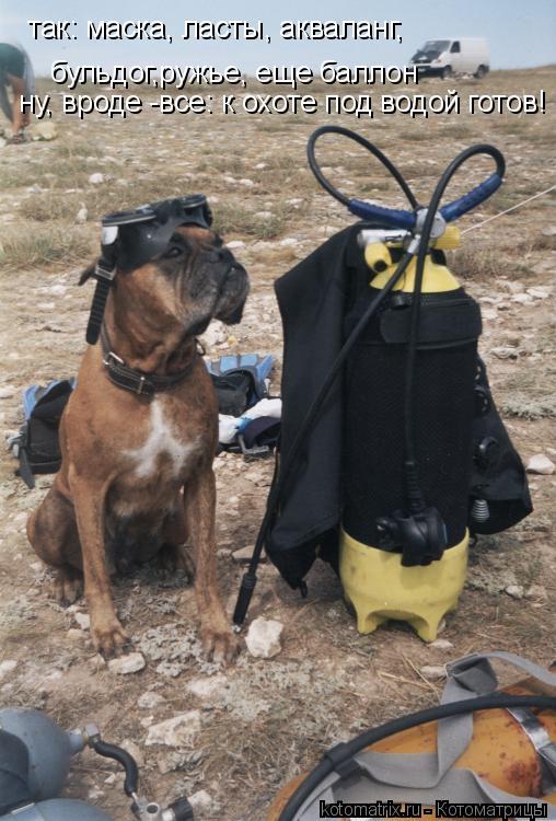 Котоматрица: так: маска, ласты, акваланг,  бульдог,ружье, еще баллон ну, вроде -все: к охоте под водой готов!