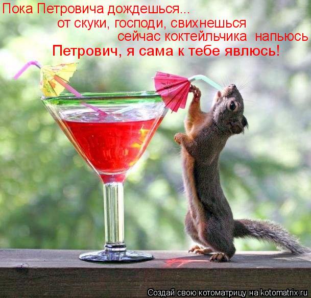 Пока Петровича дождешься... от скуки, господи, свихнешься сейчас коктейльчика напьюсь Петрович, я ... Котоматрица: Пока Петровича дождешься... от скуки, господи, свихнешься сейчас коктейльчика напьюсь Петрович, я сама к тебе явлюсь!