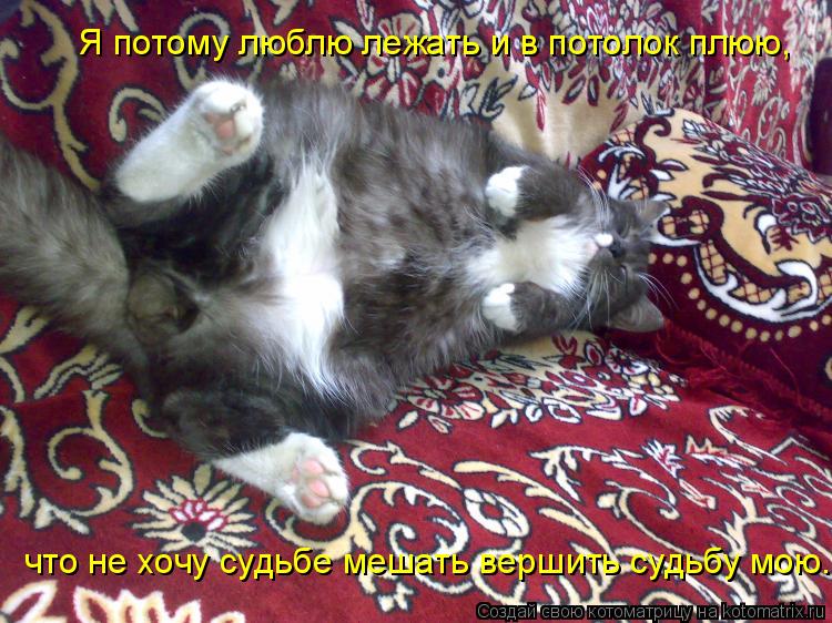 Котоматрица: Я потому люблю лежать и в потолок плюю,  что не хочу судьбе мешать вершить судьбу мою.