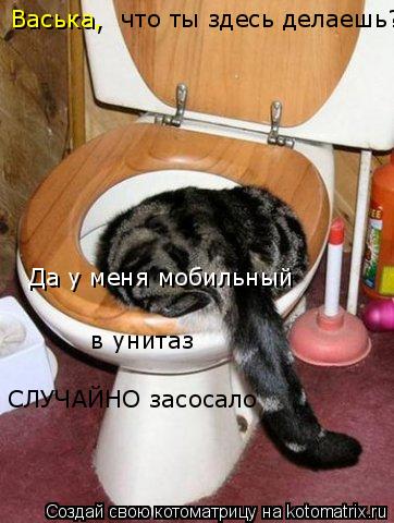 что ты здесь делаешь? Васька, Да у меня мобильный в унитаз СЛУЧАЙНО засосало... Котоматрица: что ты здесь делаешь? Васька, Да у меня мобильный в унитаз СЛУЧАЙНО засосало
