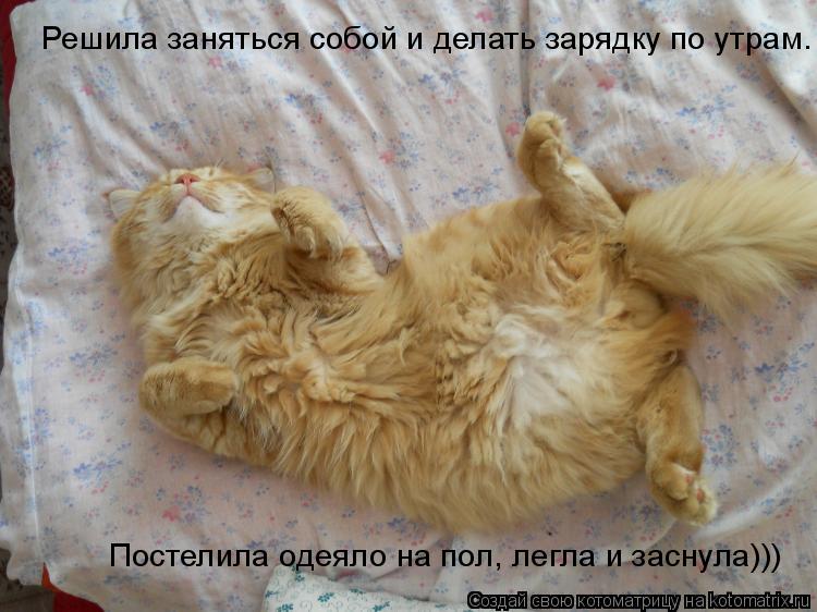 Котоматрица: Решила заняться собой и делать зарядку по утрам.   Постелила одеяло на пол, легла и заснула)))