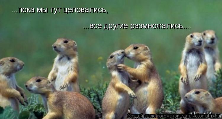 ...пока мы тут целовались, ...все другие размножались....... Котоматрица: ...пока мы тут целовались, ...все другие размножались....