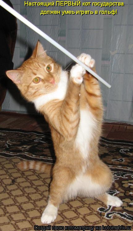 Настоящий ПЕРВЫЙ кот государства должен умеь играть в гольф!... Котоматрица: Настоящий ПЕРВЫЙ кот государства должен умеь играть в гольф!