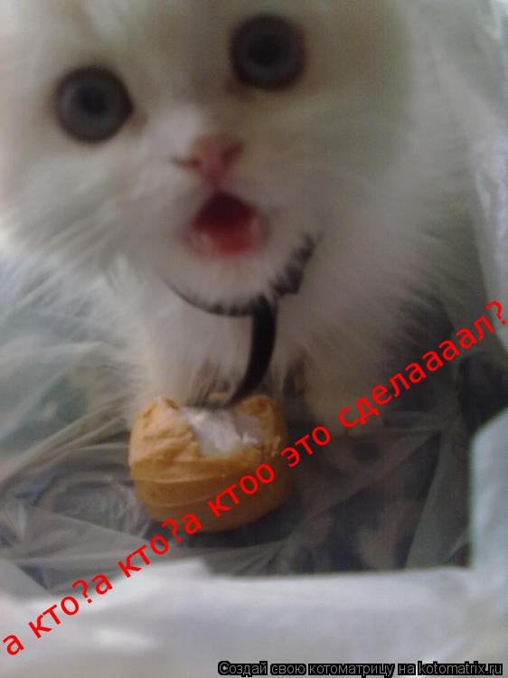 а кто?а кто?а ктоо это сделаааал?... Котоматрица: а кто?а кто?а ктоо это сделаааал?