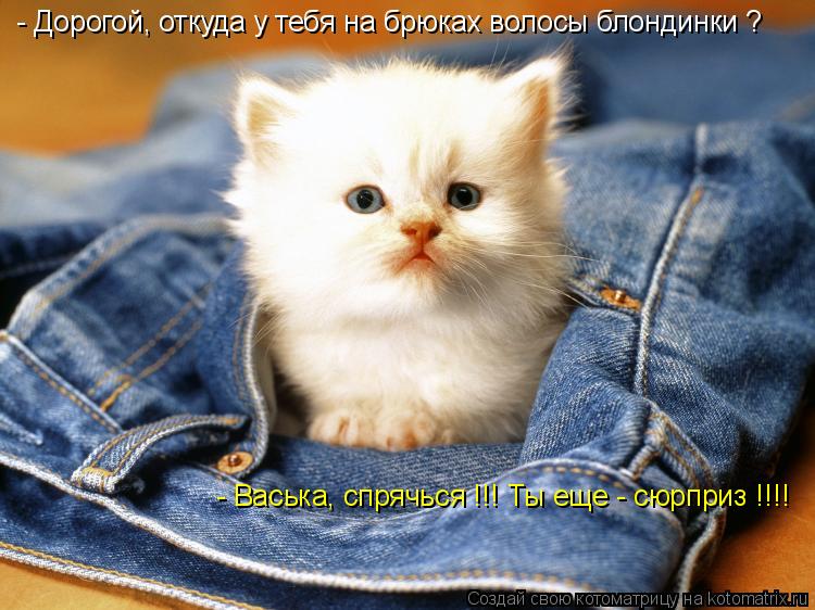 - Дорогой, откуда у тебя на брюках волосы блондинки ? - Васька, спрячься !!! Ты еще - сюрприз !!!!... Котоматрица: - Дорогой, откуда у тебя на брюках волосы блондинки ? - Васька, спрячься !!! Ты еще - сюрприз !!!!
