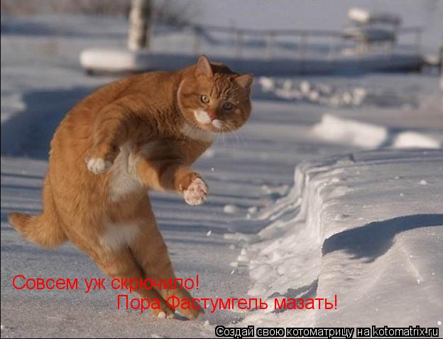 Совсем уж скрючило! Пора Фастумгель мазать!... Котоматрица: Совсем уж скрючило! Пора Фастумгель мазать!