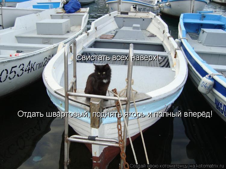 Свистать всех наверх! Отдать швартовый, поднять якорь и полный вперёд!... Котоматрица: Свистать всех наверх! Отдать швартовый, поднять якорь и полный вперёд!