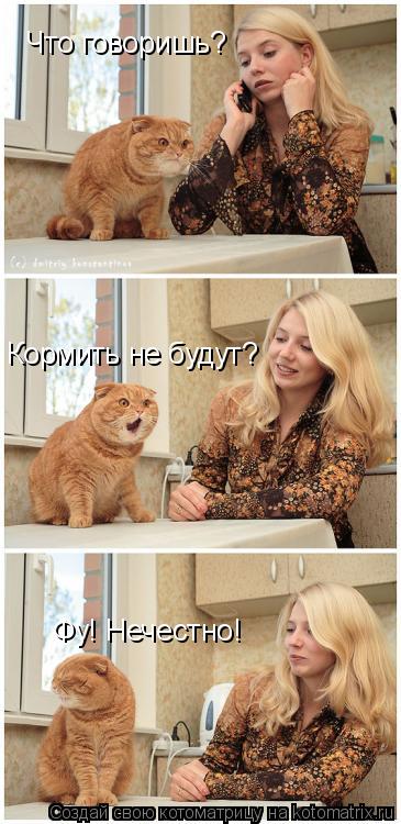 Что говоришь? Кормить не будут? Фу! Нечестно!... Котоматрица: Что говоришь? Кормить не будут? Фу! Нечестно!