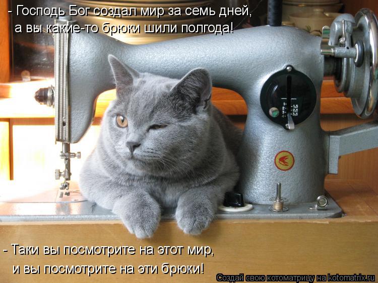 - Господь Бог создал мир за семь дней, а вы какие-то брюки шили полгода! - Таки вы посмотрите на это... Котоматрица: - Господь Бог создал мир за семь дней, а вы какие-то брюки шили полгода! - Таки вы посмотрите на этот мир, и вы посмотрите на эти брюки!