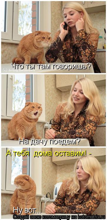 Что ты там говоришь? На дачу поедем? А тебя дома оставим! - Ну вот...... Котоматрица: Что ты там говоришь? На дачу поедем? А тебя дома оставим! - Ну вот...