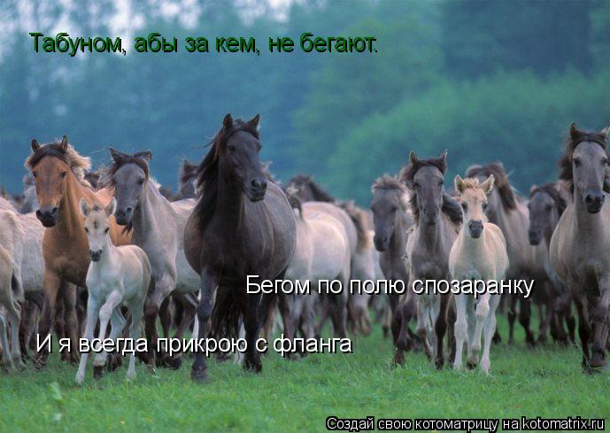 Котоматрица: Табуном, абы за кем, не бегают. Бегом по полю спозаранку И я всегда прикрою с фланга