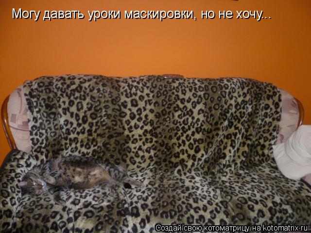 Могу давать уроки маскировки, но не хочу...... Котоматрица: Могу давать уроки маскировки, но не хочу...
