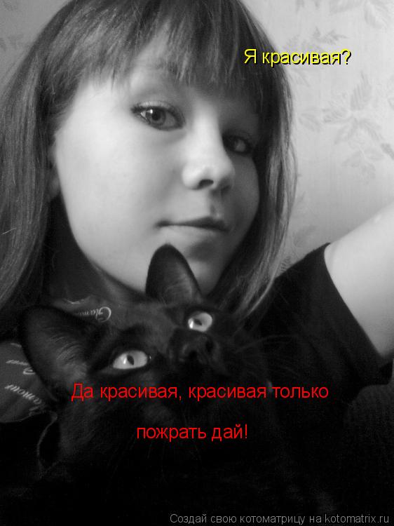 Котоматрица: Я красивая? Да красивая, красивая только пожрать дай!
