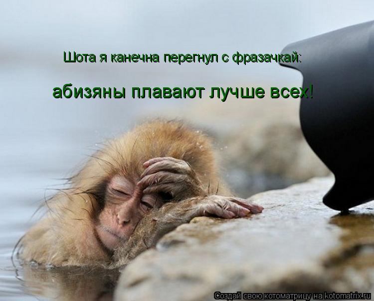 Котоматрица: Шота я канечна перегнул с фразачкай:  абизяны плавают лучше всех!