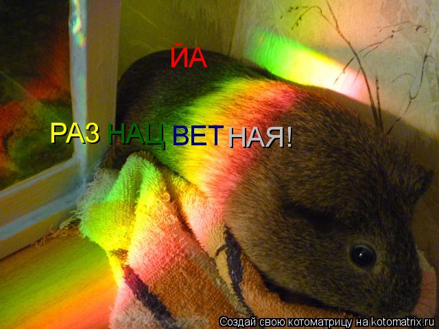 Котоматрица: ЙА РАЗ НАЦ ВЕТ НАЯ!