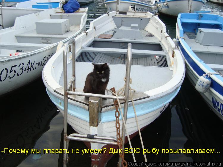 Котоматрица: -Почему мы плавать не умеем? Дык ВСЮ рыбу повылавливаем...