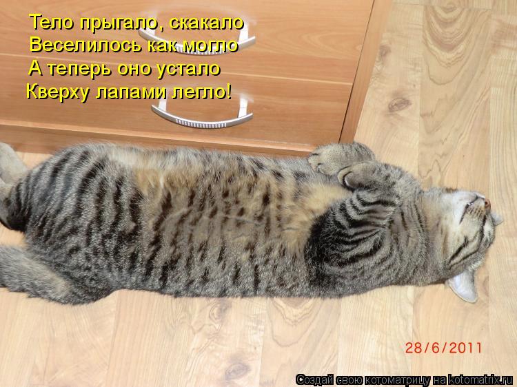 Котоматрица: Тело прыгало, скакало Тело прыгало, скакало Веселилось как могло А теперь оно устало Кверху лапами легло!