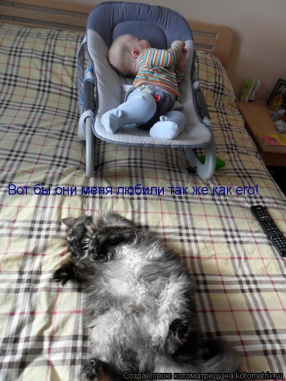 Котоматрица: Вот бы они меня любили так же как его!