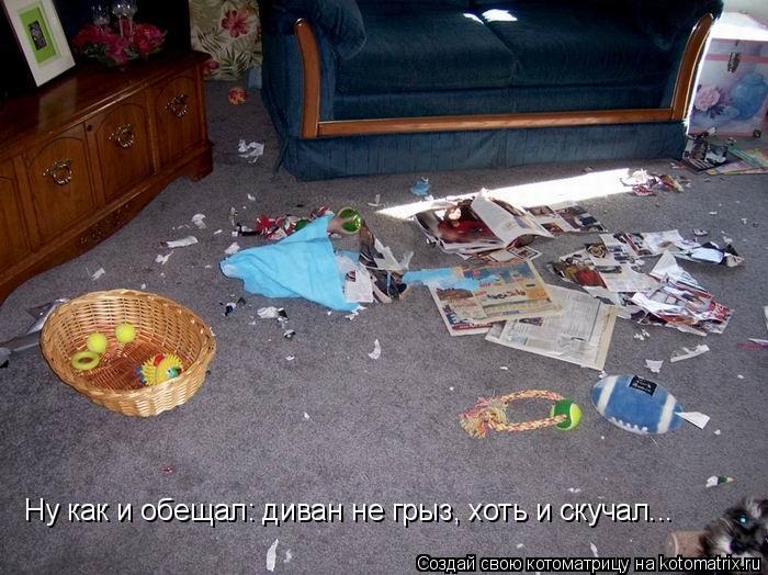 Котоматрица: Ну как и обещал: диван не грыз, хоть и скучал...
