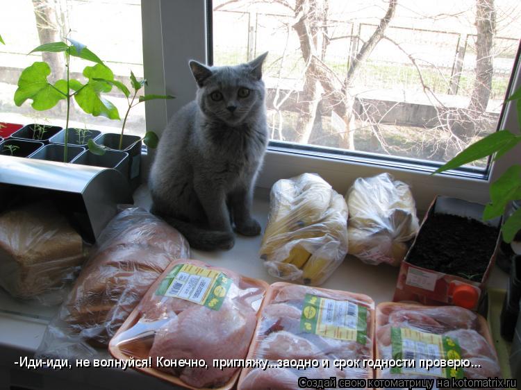 Котоматрица: -Иди-иди, не волнуйся! Конечно, пригляжу...заодно и срок годности проверю...