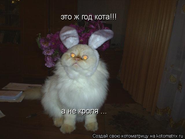 Котоматрица: это ж год кота!!!  а не кроля ...
