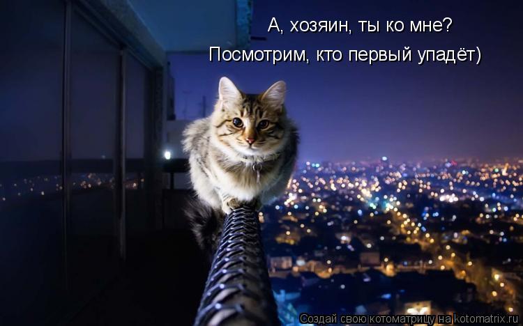 Котоматрица: А, хозяин, ты ко мне? Посмотрим, кто первый упадёт)