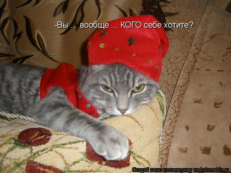 Котоматрица: -Вы ... вообще ... КОГО себе хотите?
