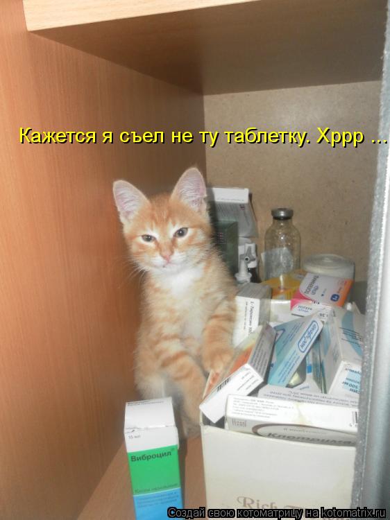 Котоматрица: Кажется я съел не ту таблетку. Хррр ...