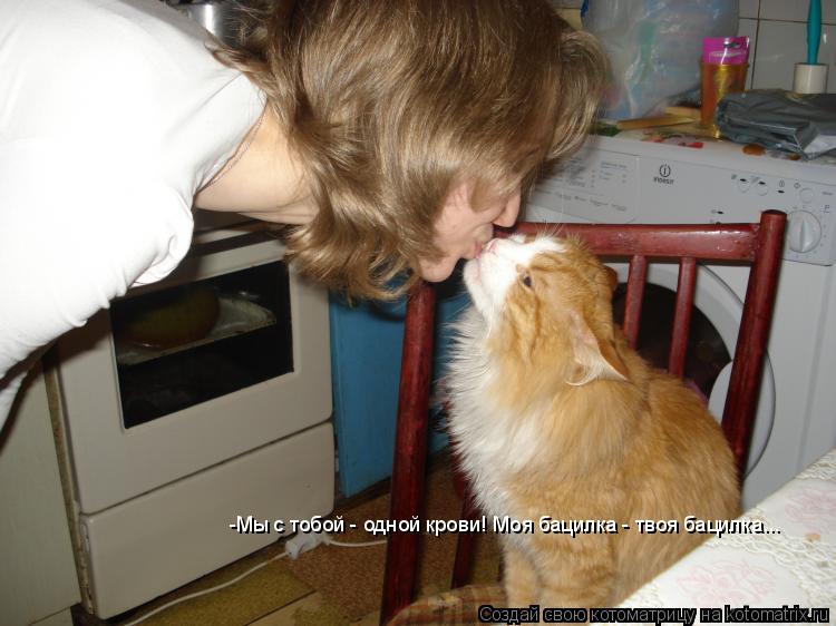 Котоматрица: -Мы с тобой - одной крови! Моя бацилка - твоя бацилка...